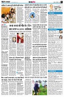 page8