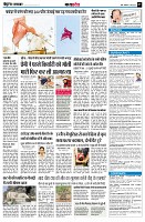 page7