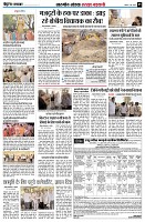 page5
