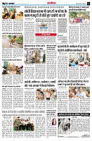 page13