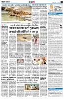 page7