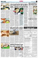 page14