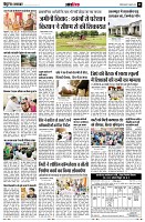 page11