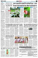 page5