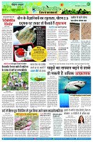 page7