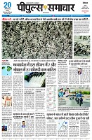 page5