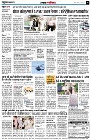 page5
