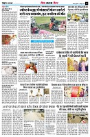 page12