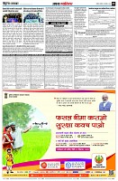 page5