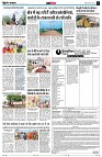 page11