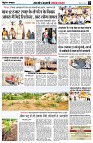 page5