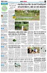 page6