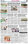 page5