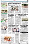 page12