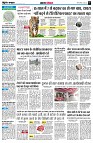 page5