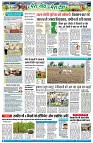 page7