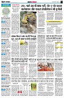 page4
