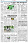 page5
