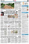 page11