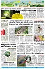Page11