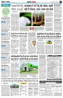 page5