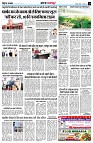 page13