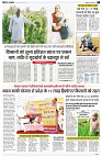 page5