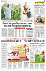 page5