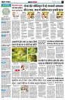 Page3