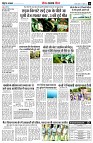 page11