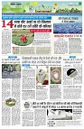 Page11
