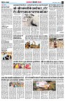Page7