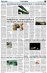 page5
