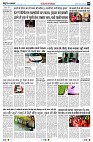 page8