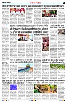 page5