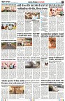 Page5